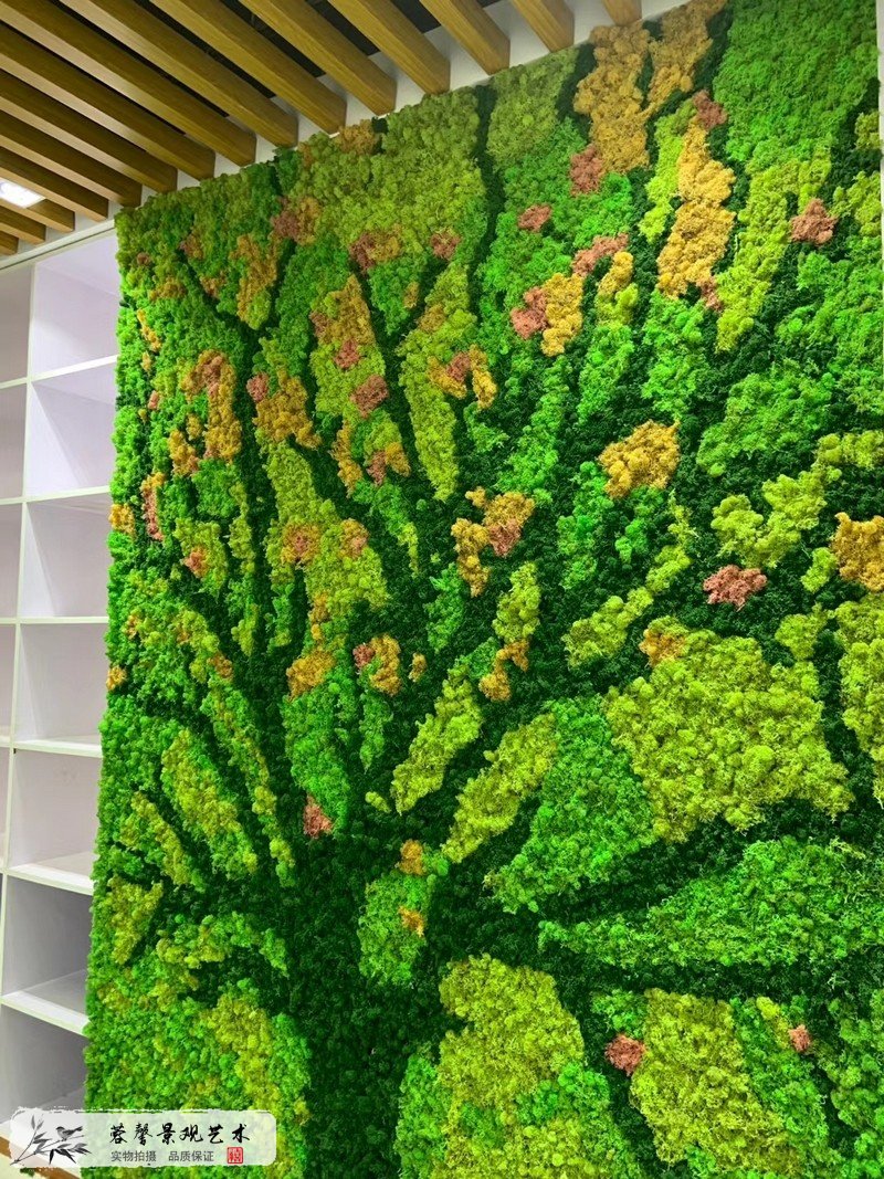 苔藓植物墙-苔藓植物在室内绿化墙中的应用