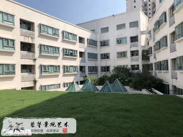 学校屋顶绿化