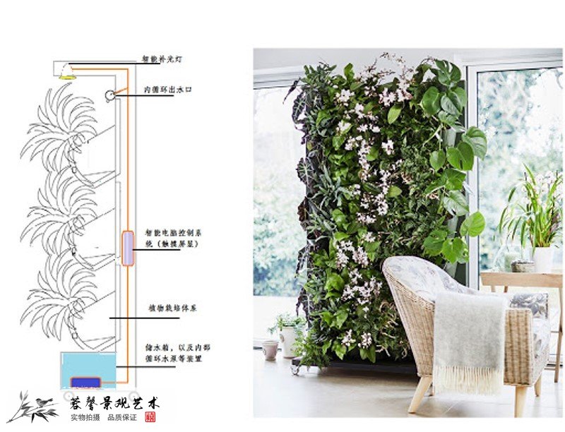 植物牆灌溉系統如何實現有哪些隱患