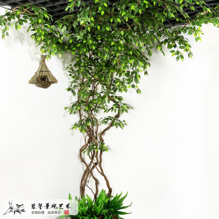 仿真植物挑选