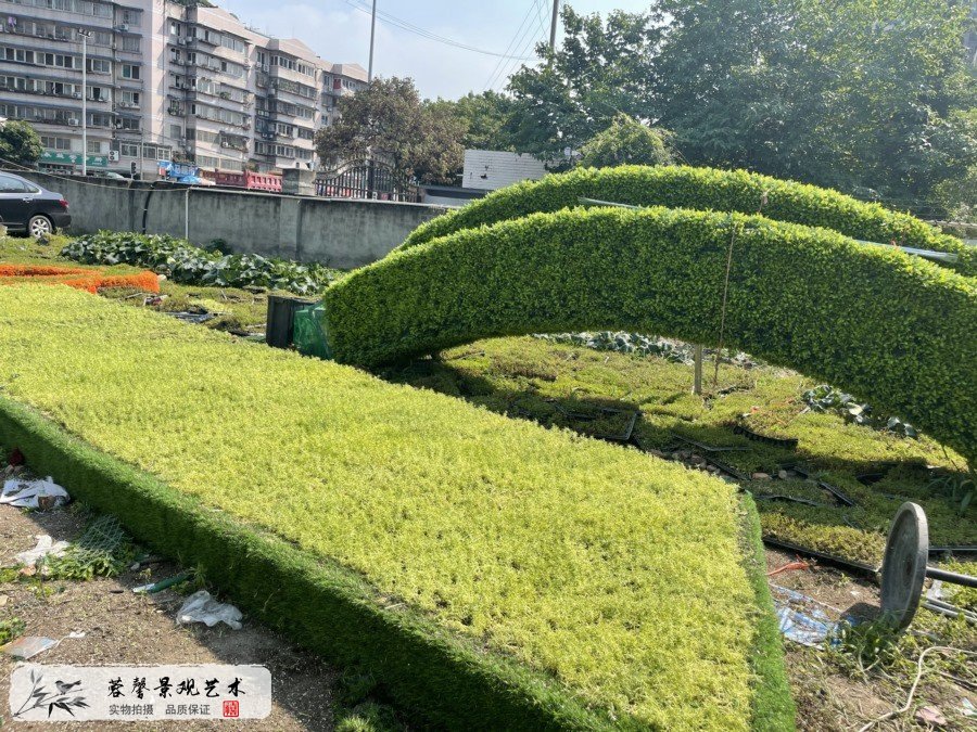 公园建党百年主题绿雕