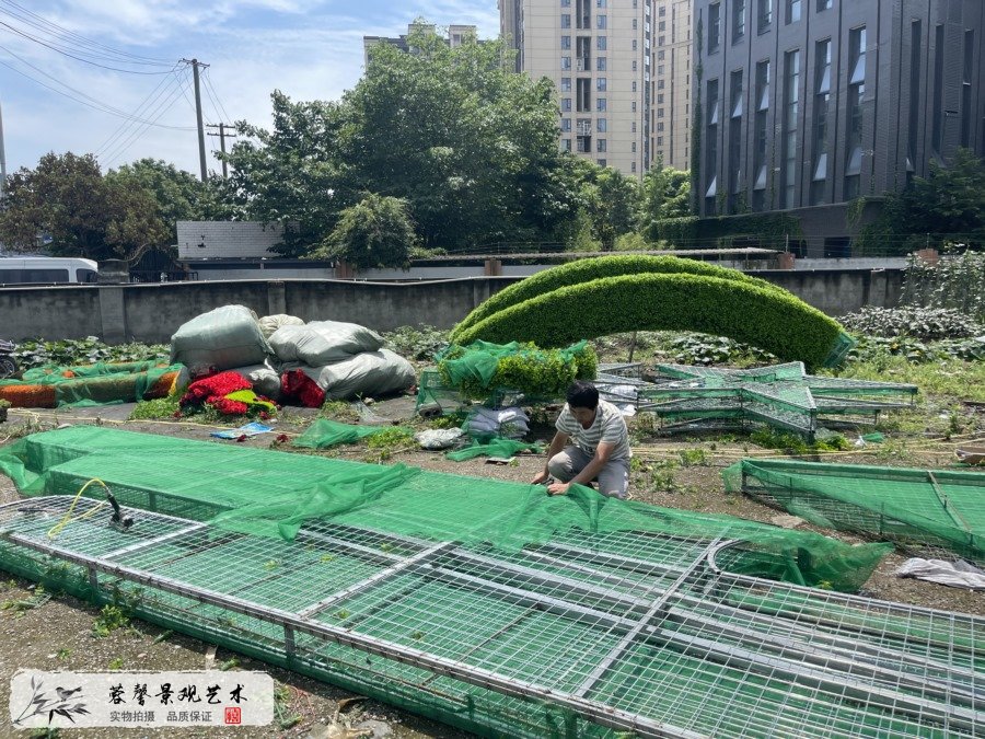 公园建党百年主题绿雕