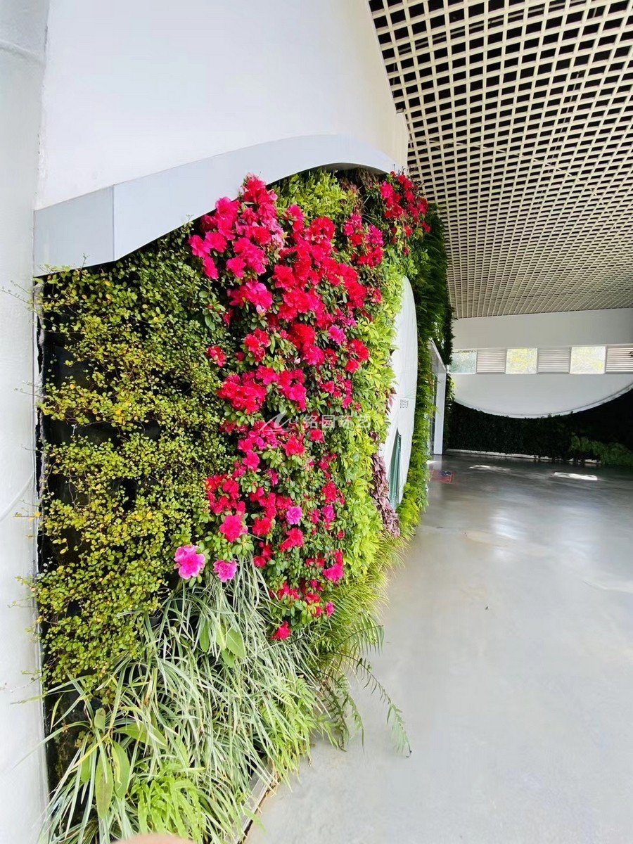 办公大楼花卉景观布置图片