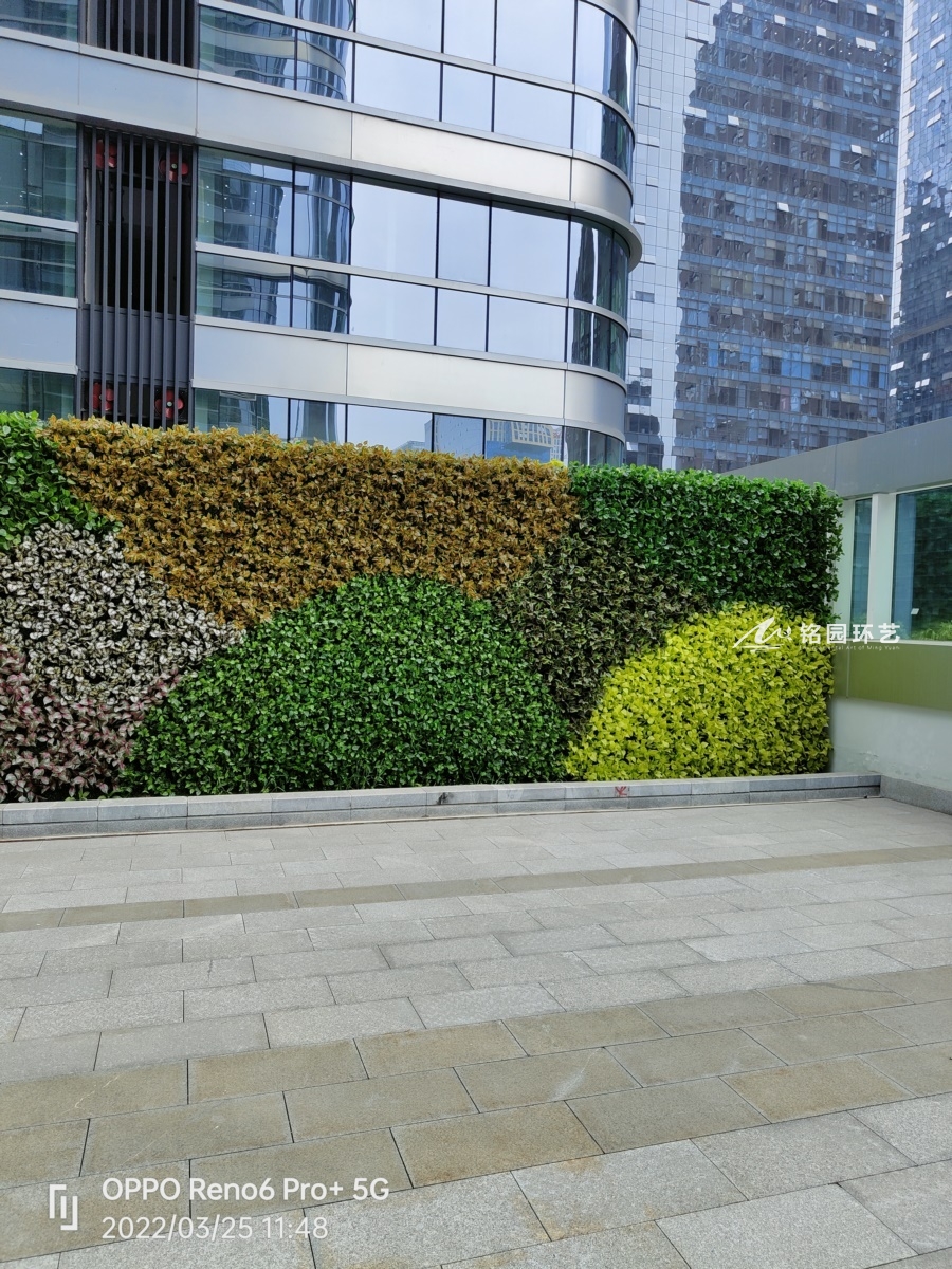 仿真綠植圍牆,成都海洋中心仿真景觀圍擋設計 - 蓉馨生態景觀